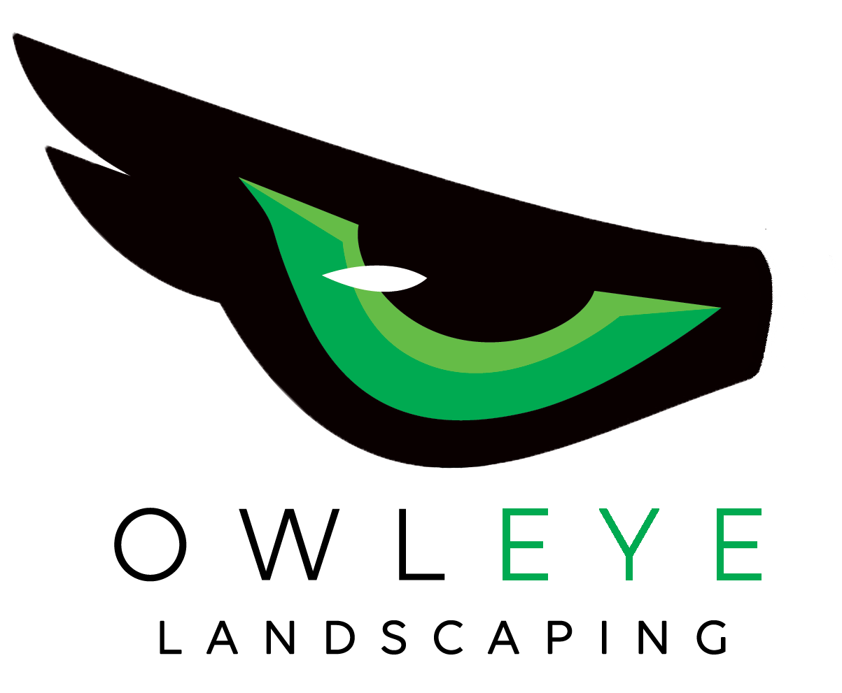 A black and green eye with the word " eyes ".